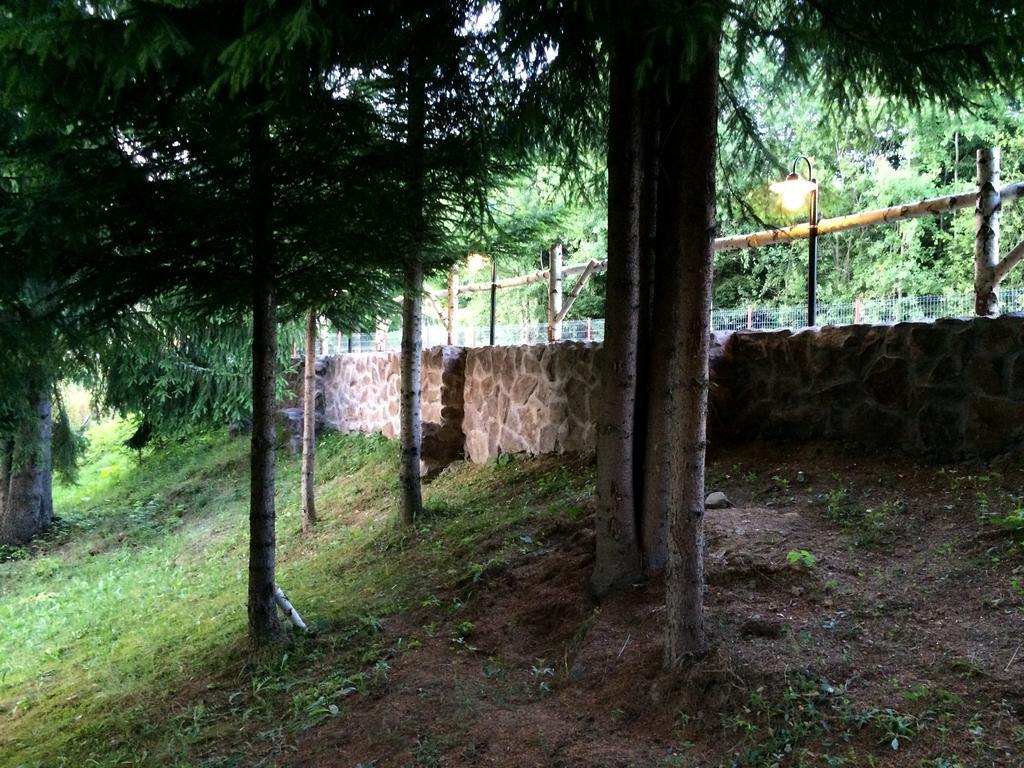 Hotel Casa Laur Cu Plaja Privata Colibiţa Exterior foto